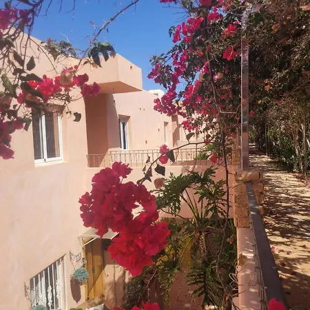 Lejlighed Apartamento Buganvilla Costa Adeje (Tenerife)